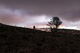 Slemish gate15